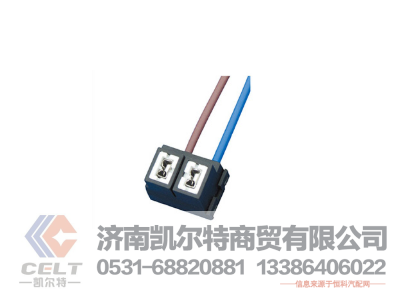 WG9925720001,燈座,濟(jì)南凱爾特商貿(mào)有限公司