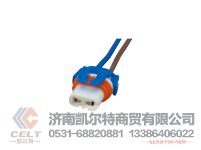 WG9925720001,燈座,濟(jì)南凱爾特商貿(mào)有限公司
