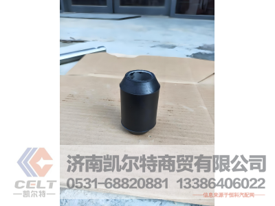 61560010029,凸轮轴衬套,济南凯尔特商贸有限公司