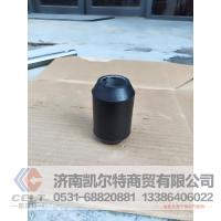 重汽豪沃陕汽陕汽德龙福田欧曼GTL61560010029凸轮轴衬套