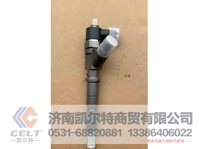 VG1034080002,喷油器总成（HW3812014P）,济南凯尔特商贸有限公司