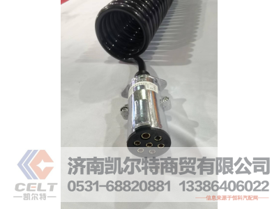 DZ95189711234,挂车线,济南凯尔特商贸有限公司