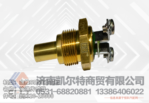 185-74-01000凯尔特