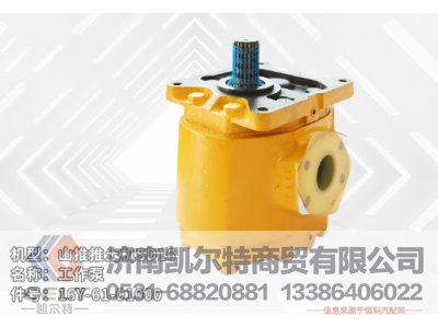 16Y-61-01000,工作泵,濟南凱爾特商貿(mào)有限公司