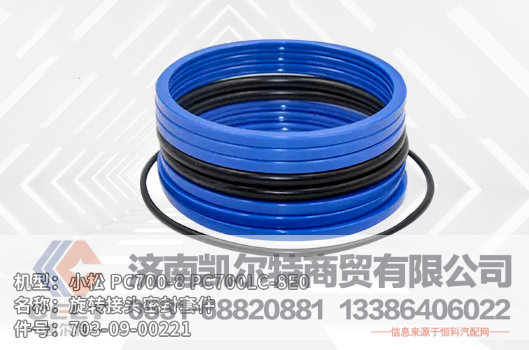 703-09-00221凯尔特