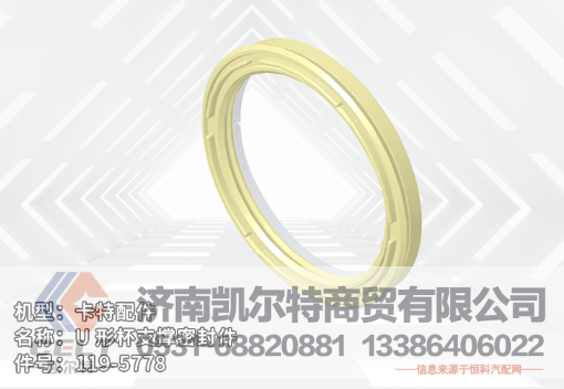 119-5778,U 形杯支撑密封件,济南凯尔特商贸有限公司