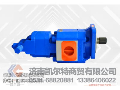 1163432356A,齿轮泵(双联泵),济南凯尔特商贸有限公司