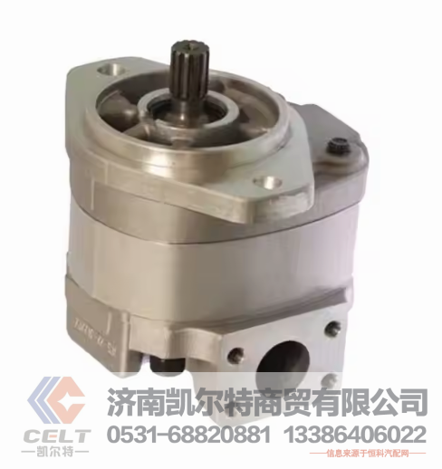 222-61-14000凯尔特