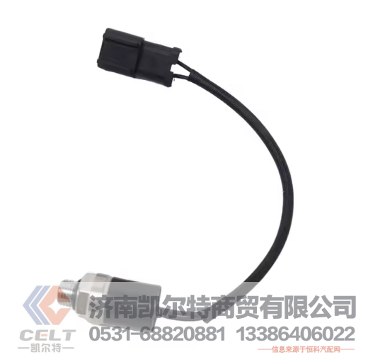 421-43-32912凯尔特