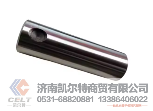 113-78-21170凯尔特