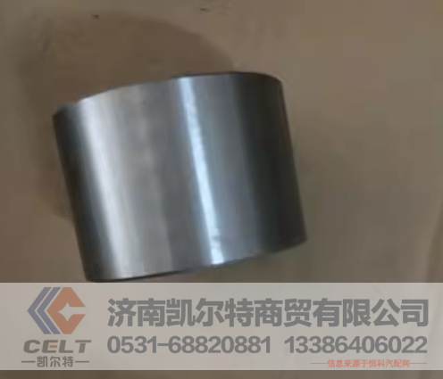 222-31-00009凯尔特