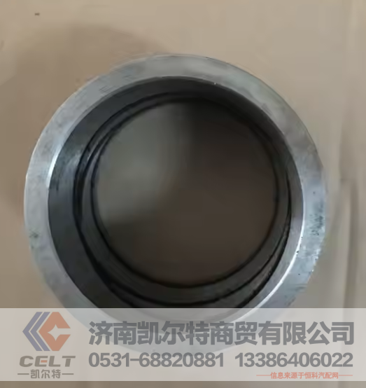 222-31-00013凯尔特