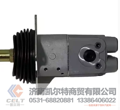 702-16-01341凯尔特