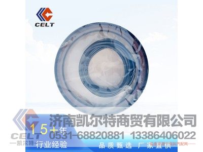 WG9981340113,軸密封圈,濟(jì)南凱爾特商貿(mào)有限公司