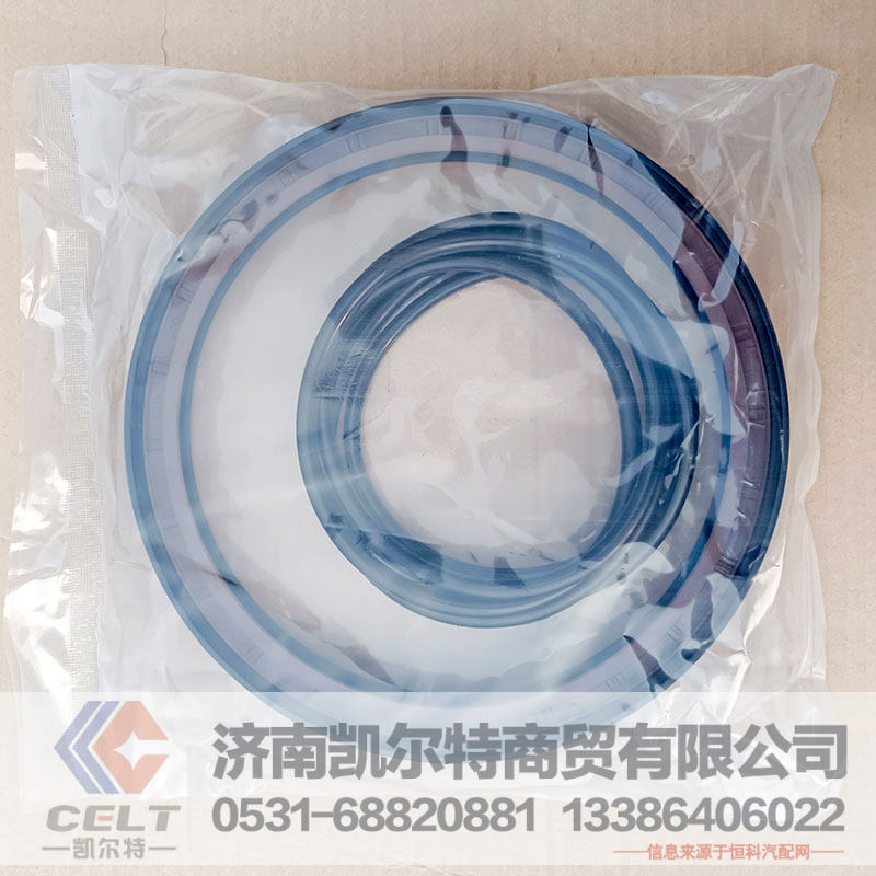 WG9981340113,軸密封圈,濟(jì)南凱爾特商貿(mào)有限公司