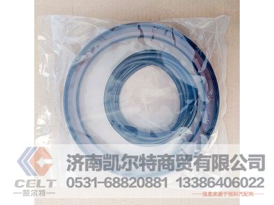 WG9981340113,軸密封圈,濟(jì)南凱爾特商貿(mào)有限公司