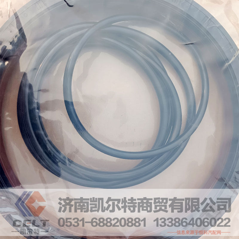 WG9981340113,軸密封圈,濟(jì)南凱爾特商貿(mào)有限公司