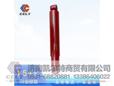WG9100680046,减震器(S35后桥）,济南凯尔特商贸有限公司