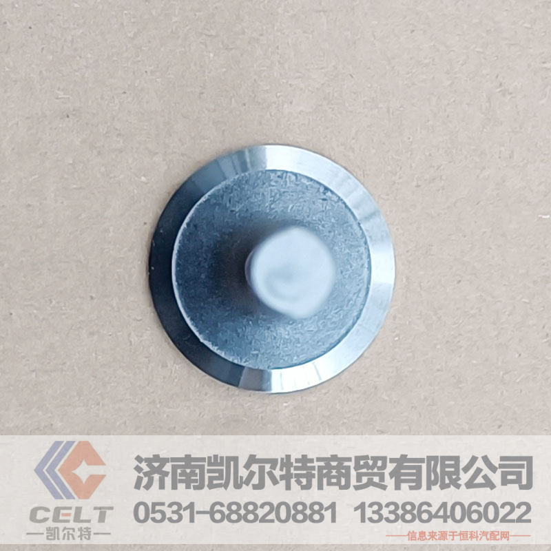 P12进气门,进气门,济南凯尔特商贸有限公司
