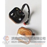 重汽豪沃豪翰左右侧标志灯WG9525720031/2 外贸装柜出口备货