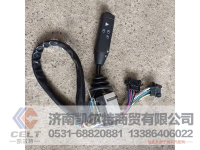 81.25509.0124,组合开关,济南凯尔特商贸有限公司