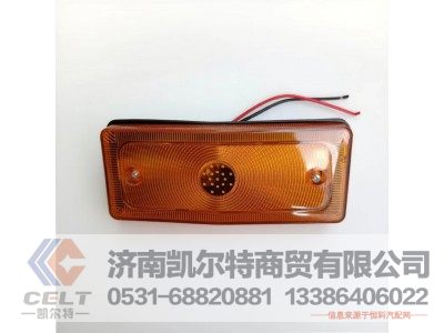 DZ95189620021,保险杠格栅,济南凯尔特商贸有限公司