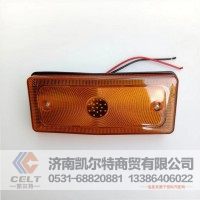 外贸出口 陕汽德龙新M3000自卸车保险杠灯 奥龙斯太尔保险杠转向灯