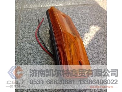 DZ95189620021,保险杠格栅,济南凯尔特商贸有限公司