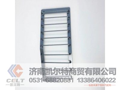 DZ95189583007,左前大灯防护栅总成,济南凯尔特商贸有限公司