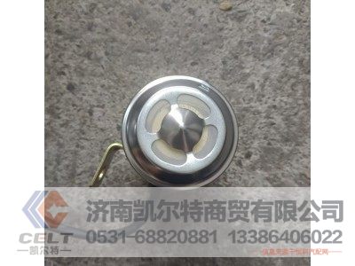 WG9618713101,倒車蜂鳴器,濟(jì)南凱爾特商貿(mào)有限公司