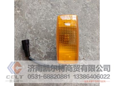 WG9925720013,側(cè)轉(zhuǎn)向燈(右),濟(jì)南凱爾特商貿(mào)有限公司