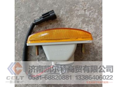 WG9925720013,側(cè)轉(zhuǎn)向燈(右),濟(jì)南凱爾特商貿(mào)有限公司