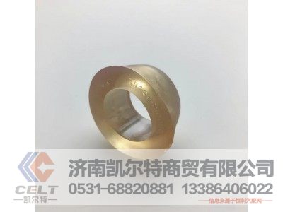 199100680066,后穩(wěn)定桿襯套,濟南凱爾特商貿(mào)有限公司