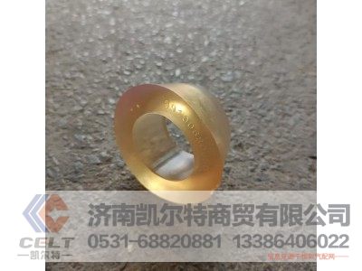 199100680066,后穩(wěn)定桿襯套,濟南凱爾特商貿(mào)有限公司