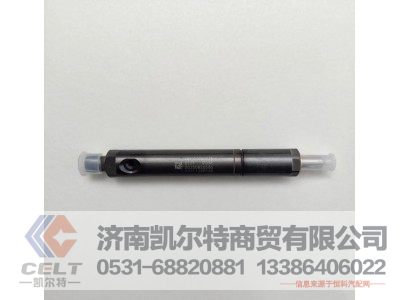 VG1560080276,噴油器總成P036-000(69/47機(jī)),濟(jì)南凱爾特商貿(mào)有限公司