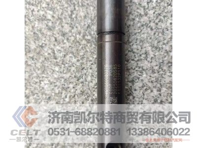 VG1560080276,噴油器總成P036-000(69/47機(jī)),濟(jì)南凱爾特商貿(mào)有限公司