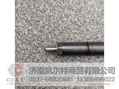 VG1560080276,噴油器總成P036-000(69/47機(jī)),濟(jì)南凱爾特商貿(mào)有限公司