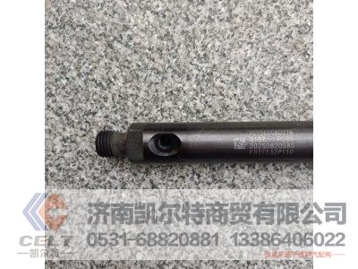 VG1560080276,噴油器總成P036-000(69/47機(jī)),濟(jì)南凱爾特商貿(mào)有限公司