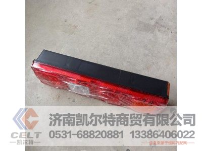 DZ95189811212,右组合尾灯(led),济南凯尔特商贸有限公司