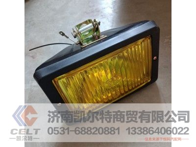 WG9200720038,雾灯（双保险杠）,济南凯尔特商贸有限公司