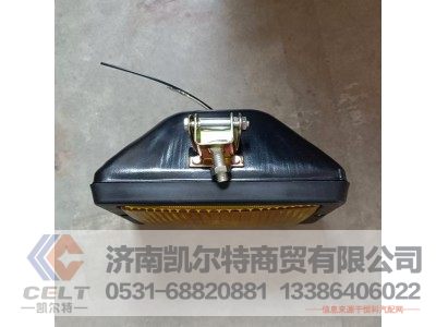 WG9200720038,雾灯（双保险杠）,济南凯尔特商贸有限公司