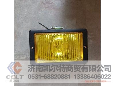 WG9200720038,雾灯（双保险杠）,济南凯尔特商贸有限公司