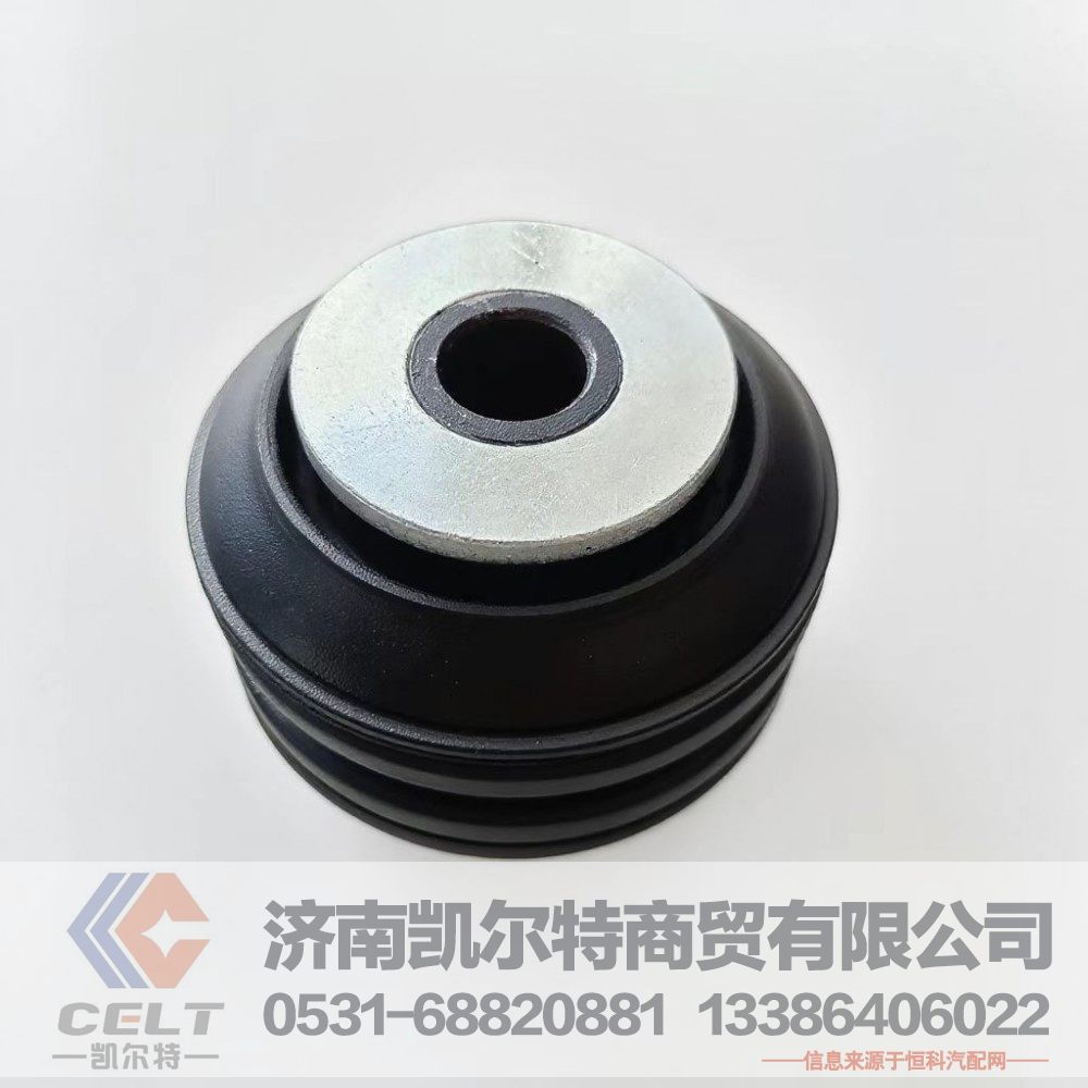 AZ1664430095,复合衬套,济南凯尔特商贸有限公司