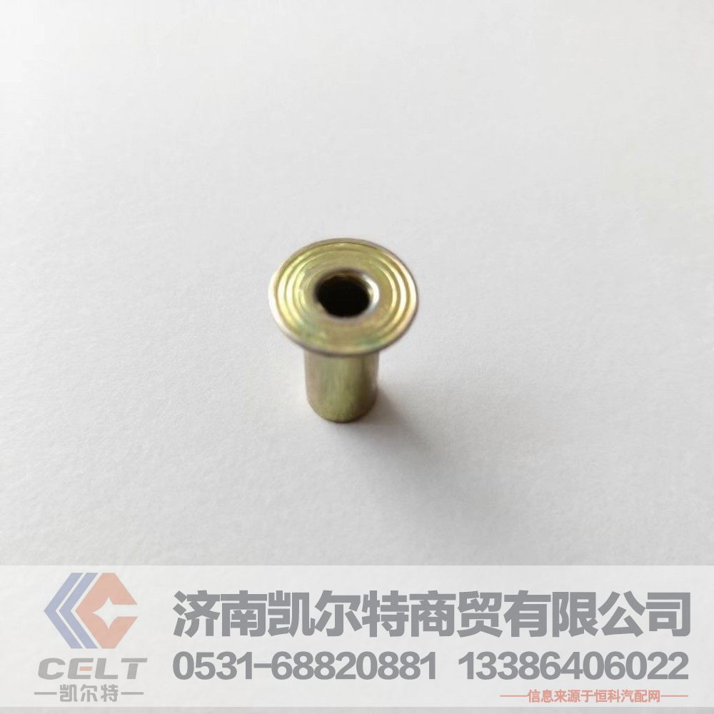 供应刹车片铆钉 STR豪沃空心镀铜铆钉 制动器铆钉螺丝 10*22镀锌铆钉(一包100颗)
