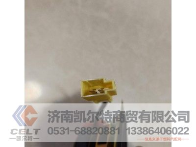 WG9525780004,揚(yáng)聲器(4寸),濟(jì)南凱爾特商貿(mào)有限公司