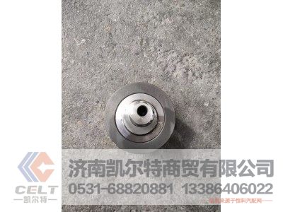 612600061510,张紧轮总成,济南凯尔特商贸有限公司