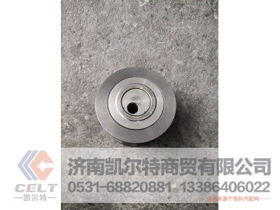 612600061510,张紧轮总成,济南凯尔特商贸有限公司