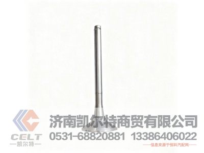 612600050025,排氣門(mén),濟(jì)南凱爾特商貿(mào)有限公司