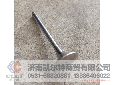 612600050025,排氣門(mén),濟(jì)南凱爾特商貿(mào)有限公司