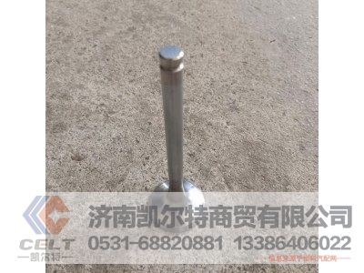 612600050025,排氣門(mén),濟(jì)南凱爾特商貿(mào)有限公司